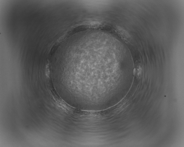X0000070251204200606021147
