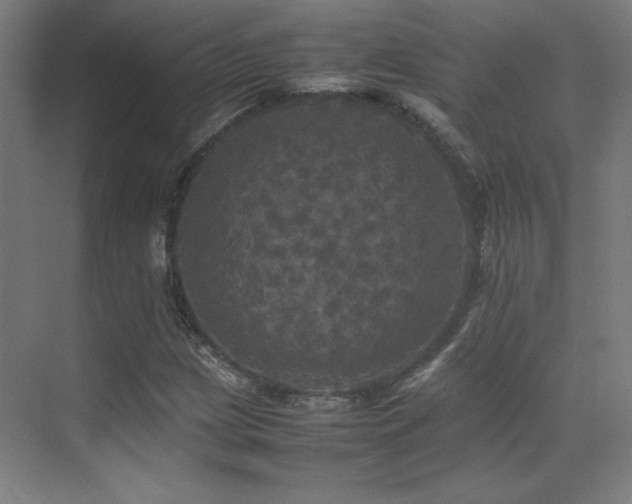 X0000070251209200606021147