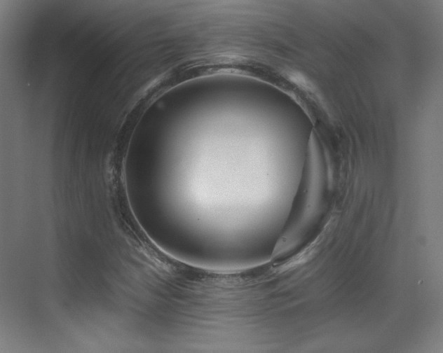 X0000070251210200606021147