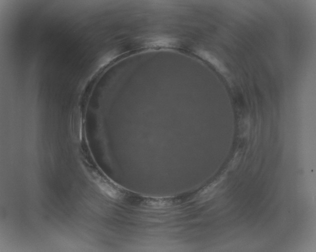 X0000070251219200606021147