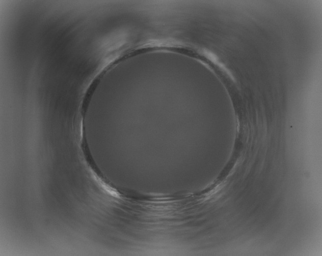 X0000070251221200606021147