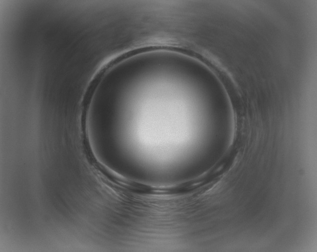 X0000070251222200606021147