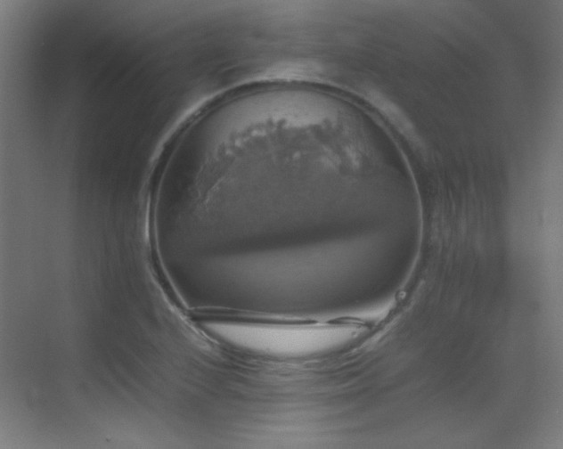 X0000070251224200606021147