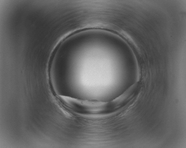 X0000070251230200606021147
