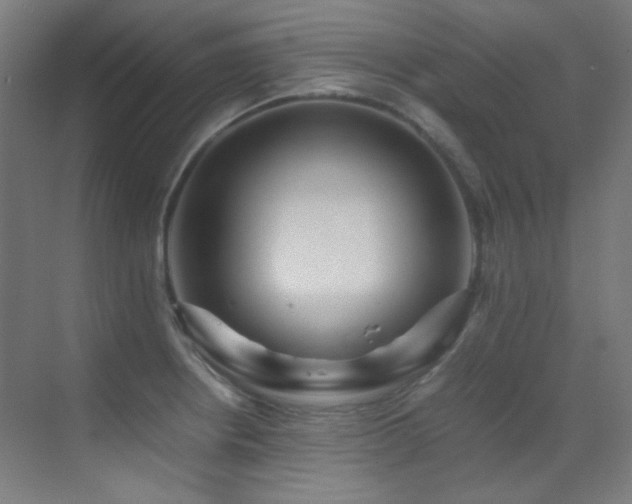 X0000070251234200606021147