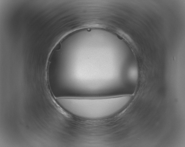 X0000070251236200606021147