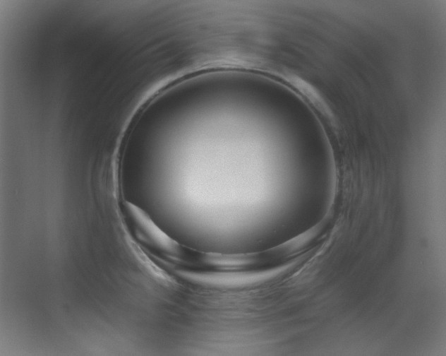 X0000070251238200606021147