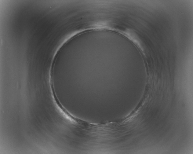 X0000070251239200606021147