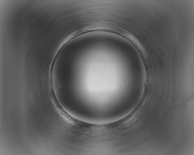 X0000070251242200606021148