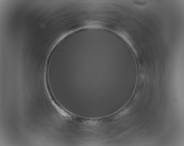 X0000070251245200606021148