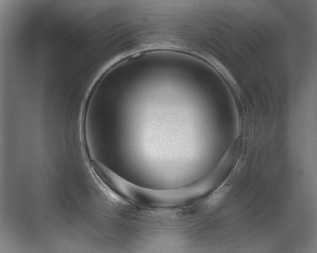 X0000070251246200606021148