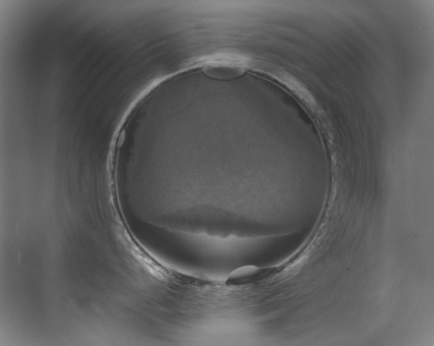X0000070251248200606021148