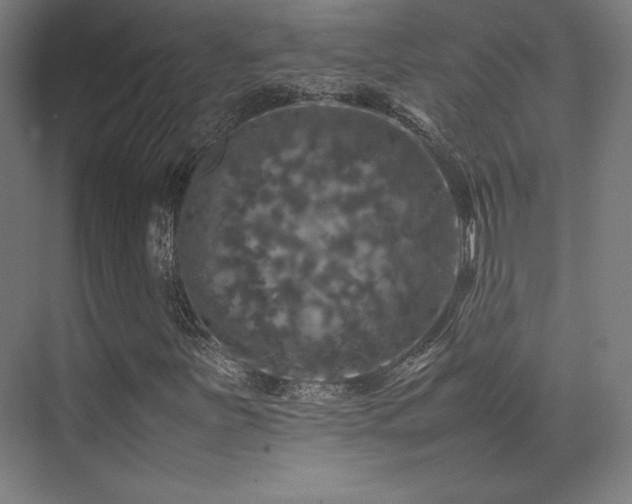 X0000070251251200606021147