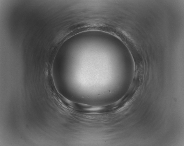 X0000070251257200606021147