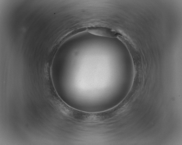 X0000070251265200606021146