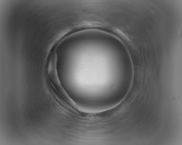 X0000070251269200606021146