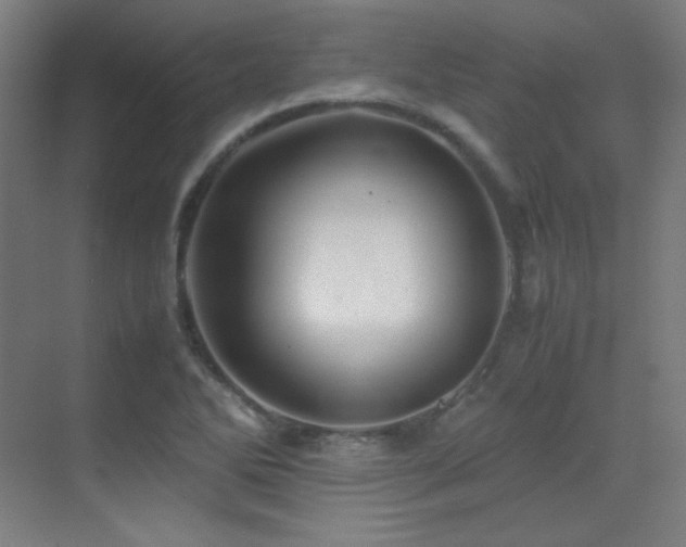 X0000070251270200606021146