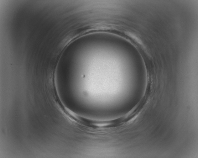 X0000070251273200606021146