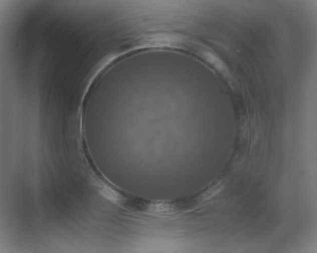 X0000070251275200606021146