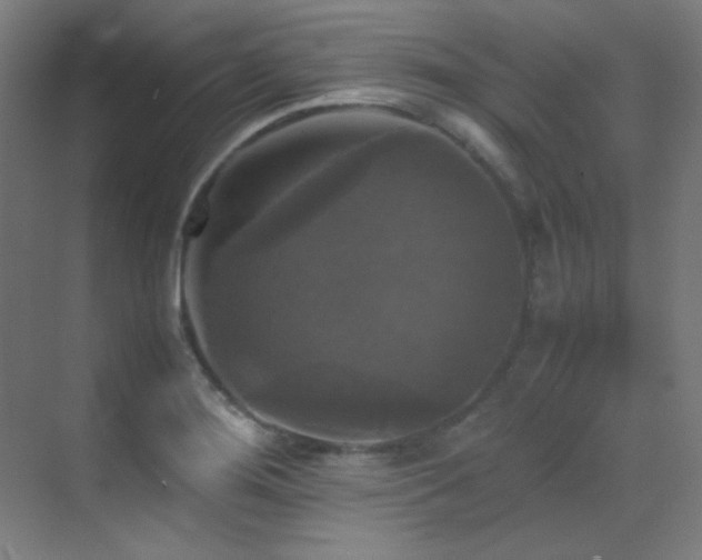 X0000070251276200606021146