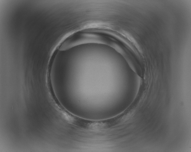 X0000070251277200606021146