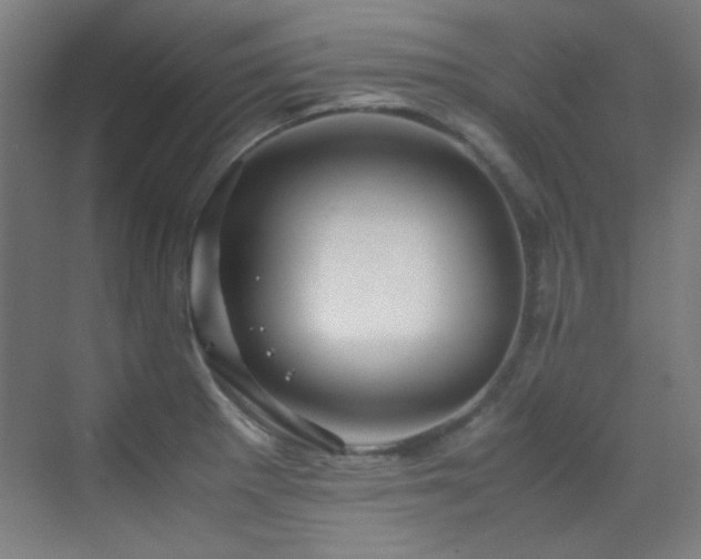 X0000070251281200606021146