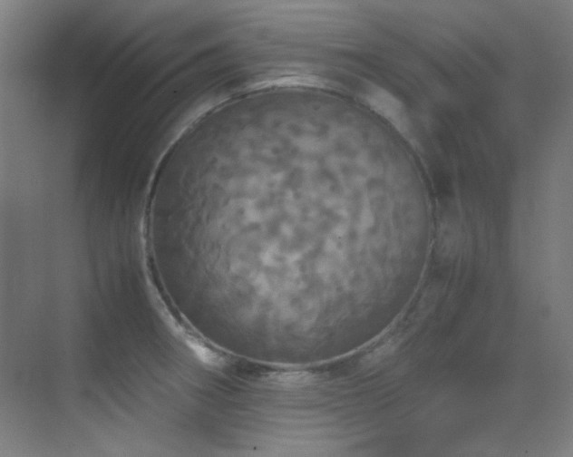 X0000070251282200606021146