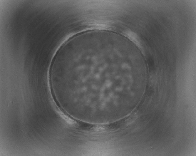 X0000070251283200606021146