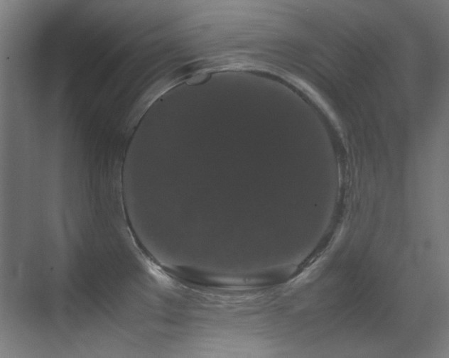 X0000070251289200606021146