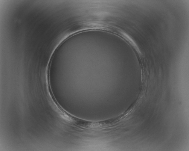 X0000070251291200606021146