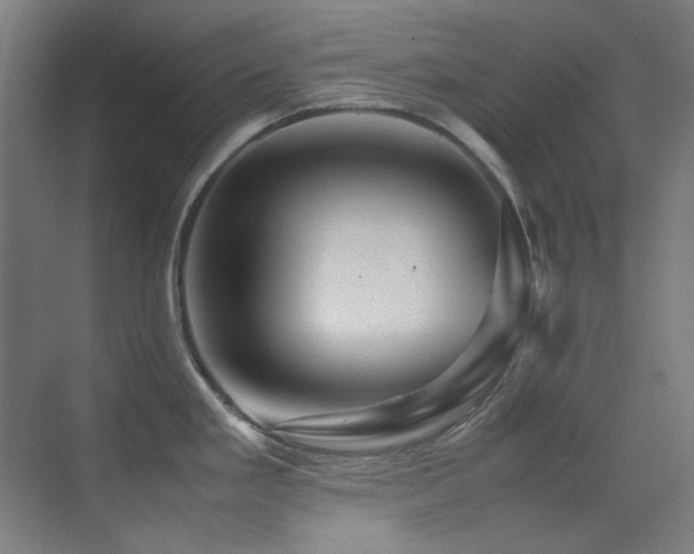 X0000070251293200606021146