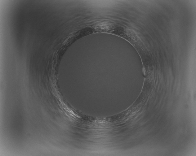 X0000070251297200606021145