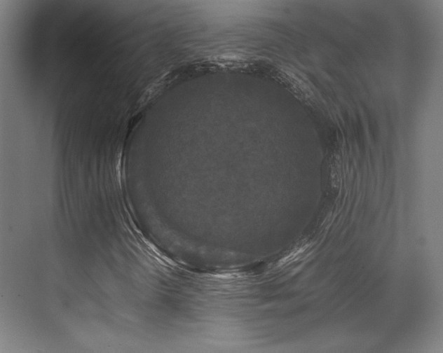 X0000070251298200606021145