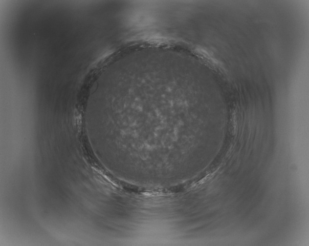 X0000070251302200606021145