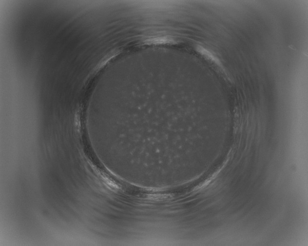 X0000070251305200606021145