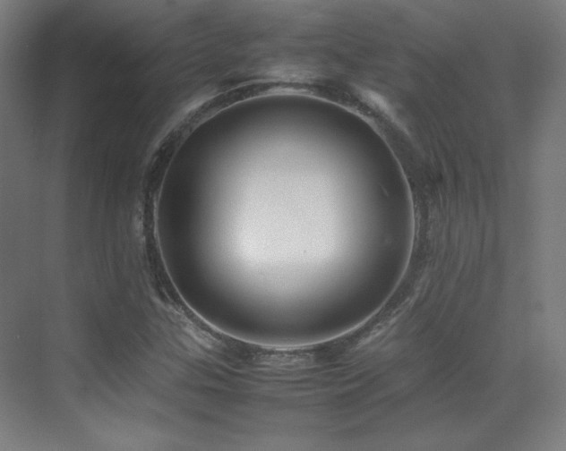 X0000070251307200606021145