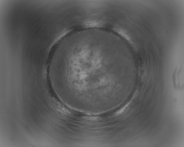 X0000070251309200606021145