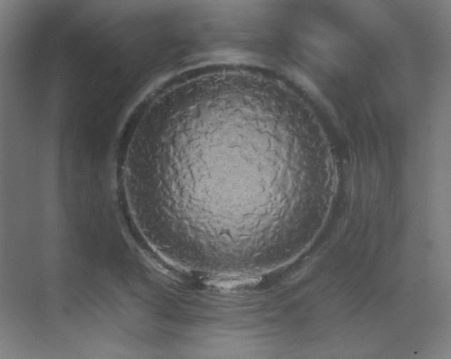 X0000070251318200606021145