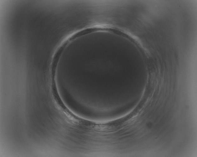 X0000070251319200606021146