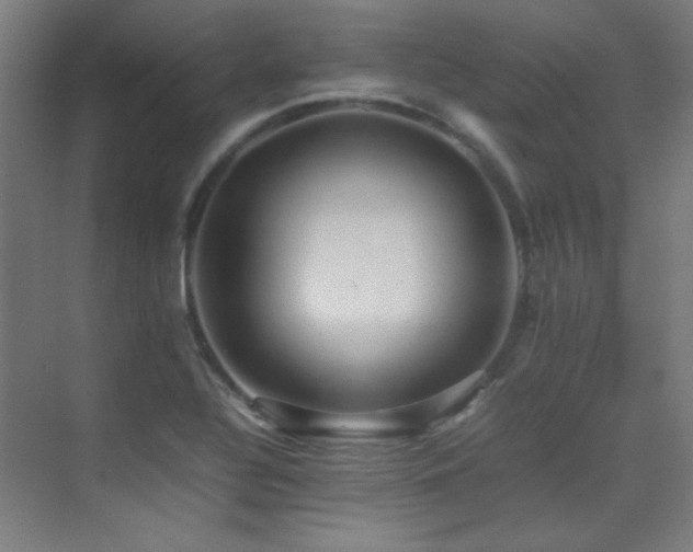X0000070251320200606021146