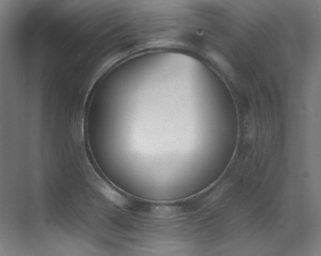 X0000070251322200606021146
