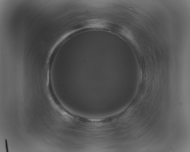 X0000070251323200606021146