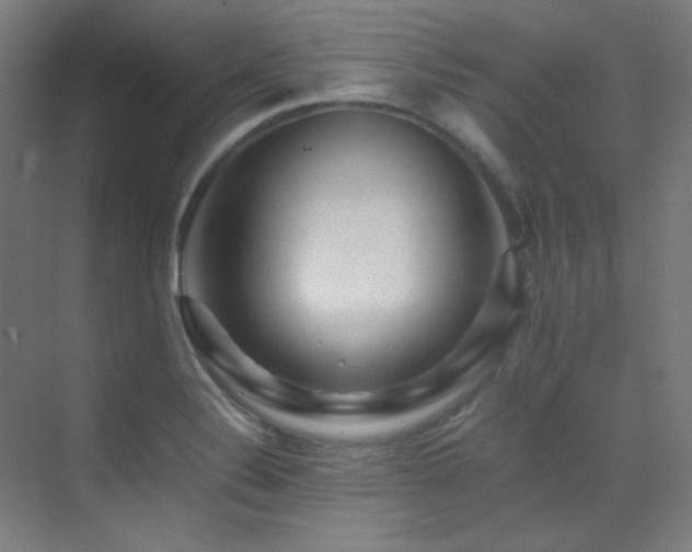 X0000070251324200606021146