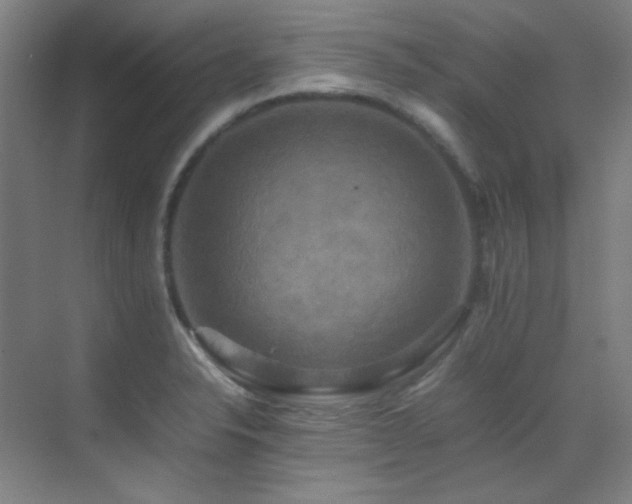 X0000070251326200606021146