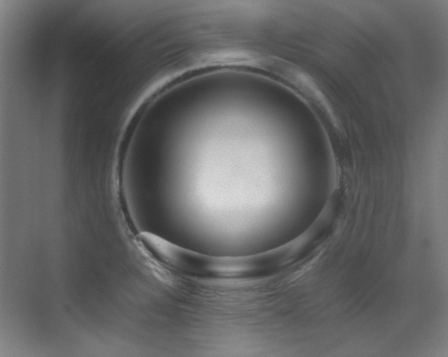 X0000070251328200606021146