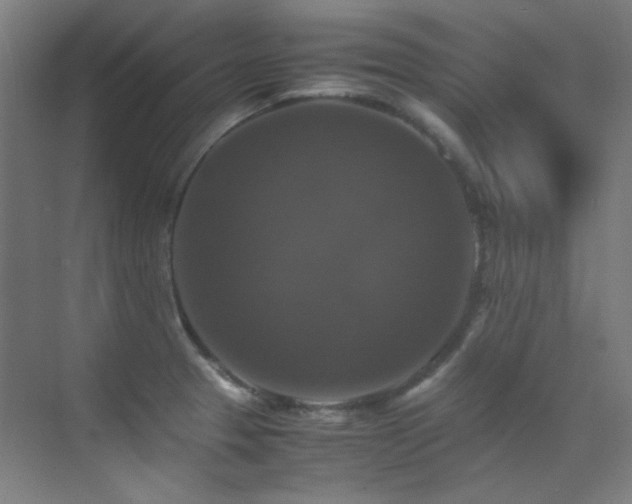 X0000070251329200606021146