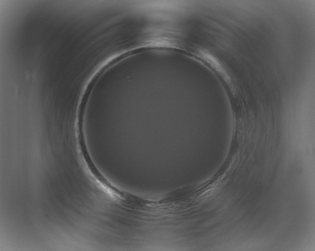 X0000070251331200606021146