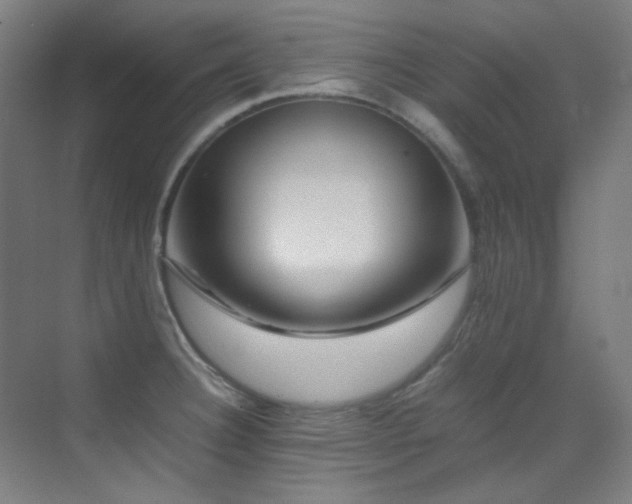 X0000070251332200606021146
