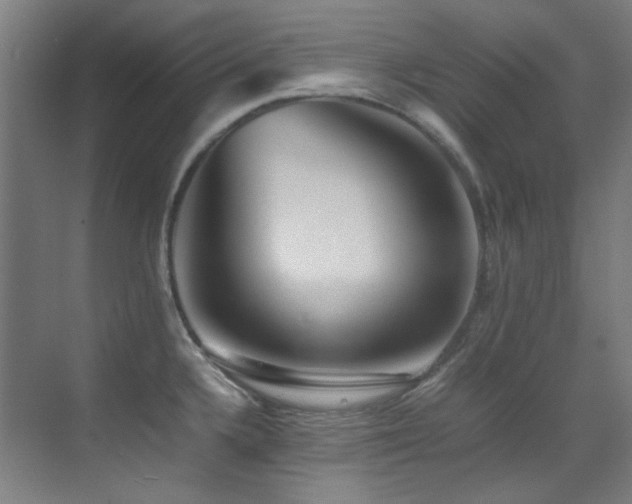 X0000070251336200606021146