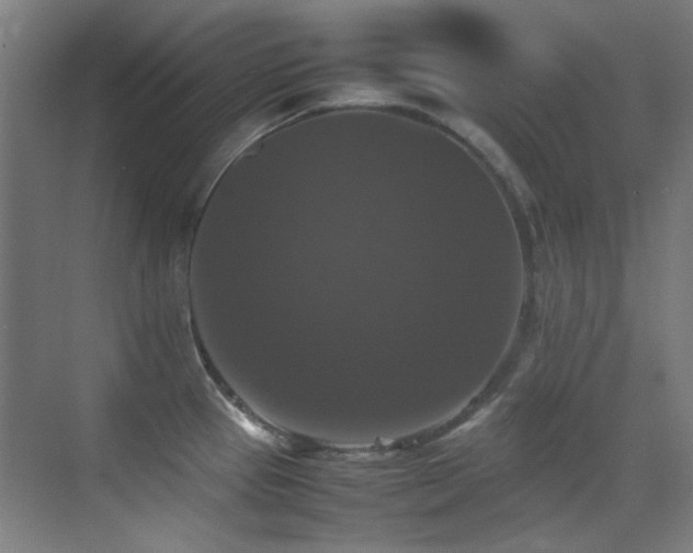 X0000070251337200606021146